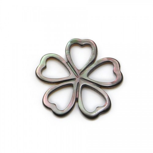 Natural shell ''Flower'' in a bag 15mm x 1pc