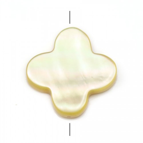 Golden yellow mother-of-pearl Clover 18mm x 40cm (22 pcs)