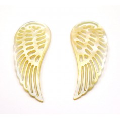 Nacre grise en forme d'aile x 2pcs