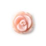 Rose Shell Flower Rose 8mm x 15pcs