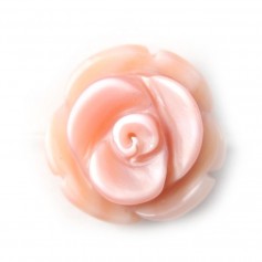 Rose Shell Flower Rose 8mm x 15pcs