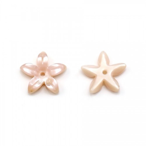 Nacre rose en forme de fleur 19.5mm x 2pcs