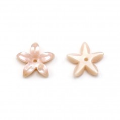 Nacre rose en forme de fleur 19.5mm x 2pcs