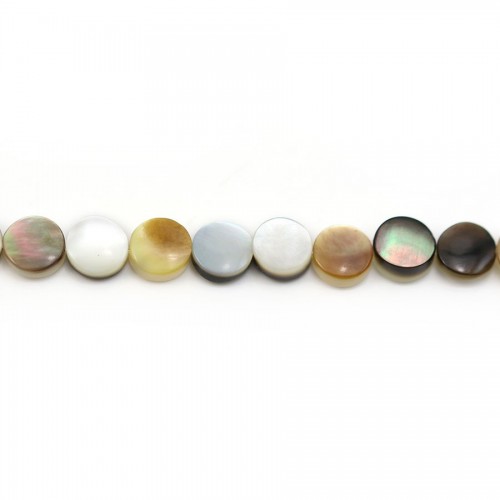 Mother-of-pearl flat round 6mm x 40cm
