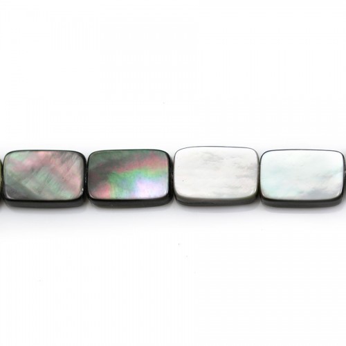 Nacre Grise en Forme de Rectangle 8x12mm x 5pcs