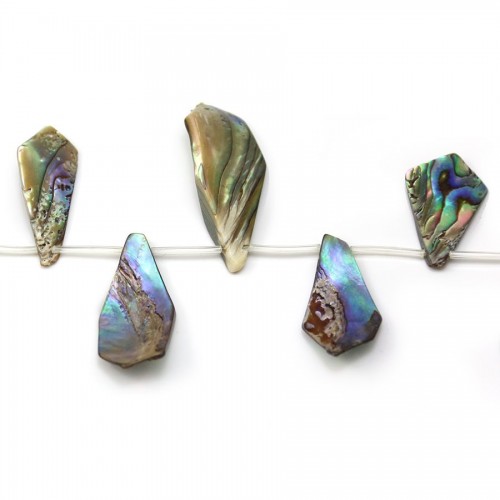 Perlmutt Abalone in verschiedenen Formen 25-39 * 11-15mm x 40cm