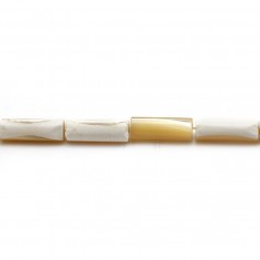 Nacre jaune, en forme de tube, 5 * 14mm x 40cm