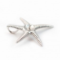 Bélière & étoile de mer, argent 925 rhodié,pour perles semi-percées x 1pc