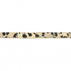 Jaspe dalmatien, en forme de tube 4x13mm x 40cm