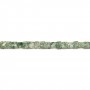 Jaspe de tache verte, en forme de cube, 4mm x 40cm