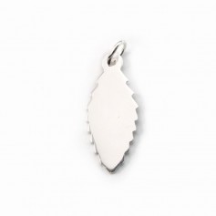 Argent  925 Feuille  6.5x15 X1pc