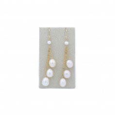 Boucle d’oreille en gold filled & perles de culture d'eau douce x 2pcs
