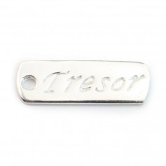 Breloque Tresor Argent 925 17x6mm x 2pcs 