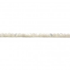 White mother-of-pearl beads  2mm x 40cm 