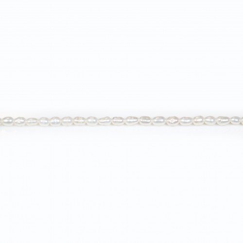 Perlas de agua dulce, blancas, de forma ovalada/irregular, 3.5-4mm x 35cm