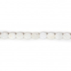 Cornaline Ronde Plate 8mm x 5 pcs  