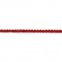 Red colored round sea bamboo 2mm x 40cm 