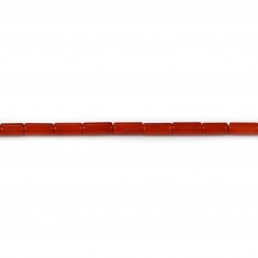 Bambou de mer teinte rouge tube 3x7mm x40 cm