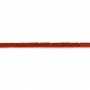 Red colored tube sea bamboo 2x4mm x 30pcs
