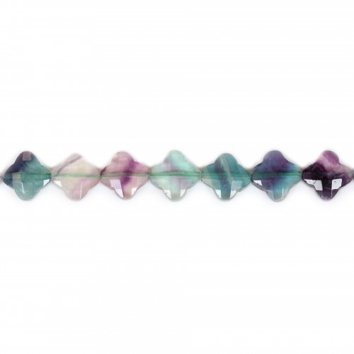 Fluorite trèfle facette 13mm x 2pcs