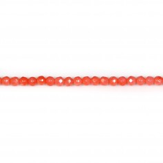Bambou mer teinte orange Rond Facette 3mm x 40cm 