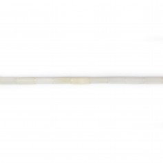 Sea bamboo white tube  2x4mm x 40cm 