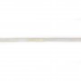 Sea bamboo white tube  2x4mm x 40cm 