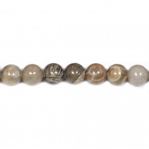 Fossil coral ball 10mm x 40cm