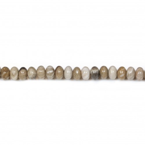 Fossil coral washers 4x6mm x 20pcs