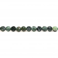 Seraphinite de couleur verte, de forme ronde facette, 4mm x 39cm