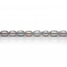Perle de culture d'eau douce grise, ovale, 6-6.5mm x 39cm