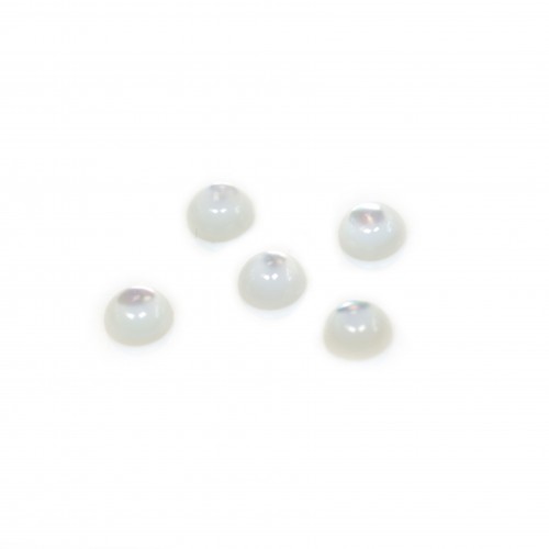 Cabochon de nacre blanche, de forme ronde 5mm x 4pcs