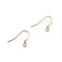 Boucle d'oreille 14MM Gold filled 14 carat x 2pcs