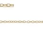 Chaine Gold Filled 14 carats 2.9.x2.3mmX 50cm