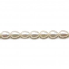 Perles d'eau douce blanches rondes 7mm x 5pcs