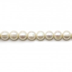 White round/oval freshwater pearls 8-9mm x 40cm