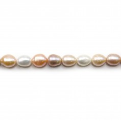 White/salmon/mauve oval freshwater pearls 11-13x13.5x14.5mm x 40cm