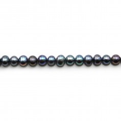 Dark blue Freshwater Pearl oval/Round 5.5-6mm x 40cm