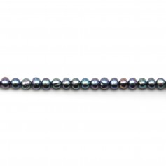 Perles de culture d'eau douce, bleu violacé, semi-ronde, 4.5-5.5mm x 10pcs