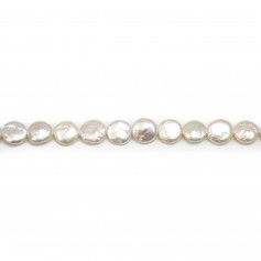 Silvery white flat round freshwater pearls on thread 11mm x 40cm