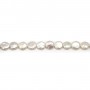 Silvery white flat round freshwater pearls on thread 11mm x 40cm
