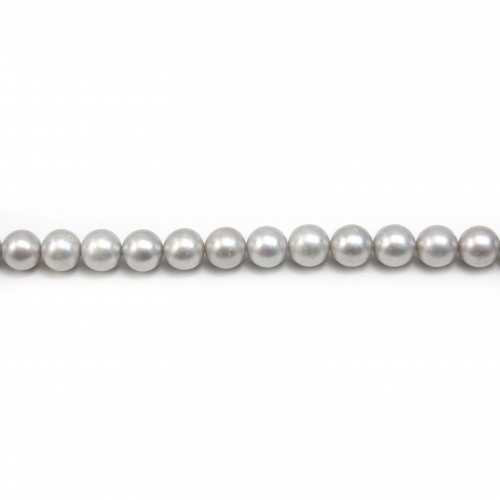 Perles de culture d'eau douce, gris, ronde, 10mm x 39cm