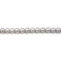 Perles de culture d'eau douce, grise, ronde, 10mm x 40cm