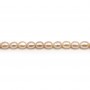 Salmon color oval freshwater pearls on thread 7.5-9mm x 40cm
