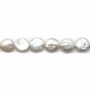white freshwater pearl  frome divers 13mm x 40cm