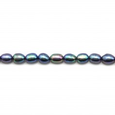 Perles de culture d'eau douce, bleue foncée, olive, 5-6mm x 40cm