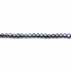 Perles de culture d'eau douce, bleu foncé, ronde, 4-5mm x 10pcs