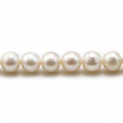 White round freshwater pearl  round 8-9mm x 40cm