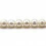 Perles d'eau Douce Blanc rond  8-9mm  AAA x 40cm