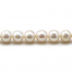 Perles d'eau Douce Blanc rond  8-9mm  AAA x 40cm